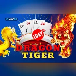1 Day Dragon Tiger