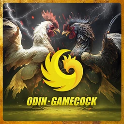 Odin Cockfight