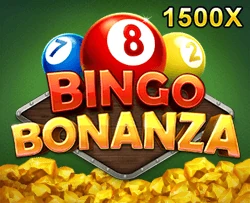 BingoBonanza