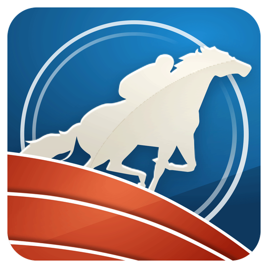 Horsebook